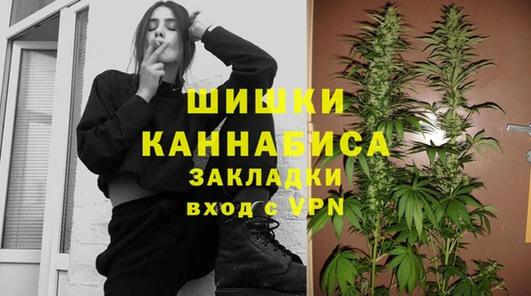 ГАЛЛЮЦИНОГЕННЫЕ ГРИБЫ Арсеньев