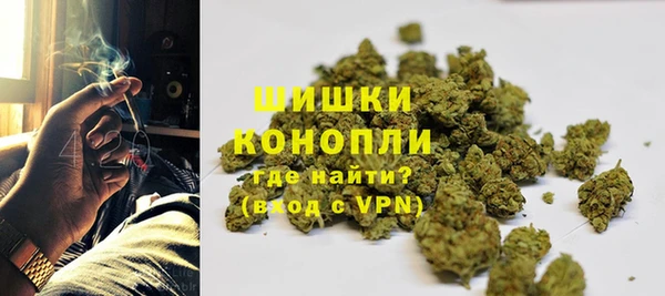 ГАЛЛЮЦИНОГЕННЫЕ ГРИБЫ Арсеньев
