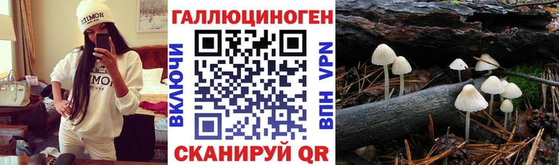 Псилоцибиновые грибы Cubensis  Новая Ляля 